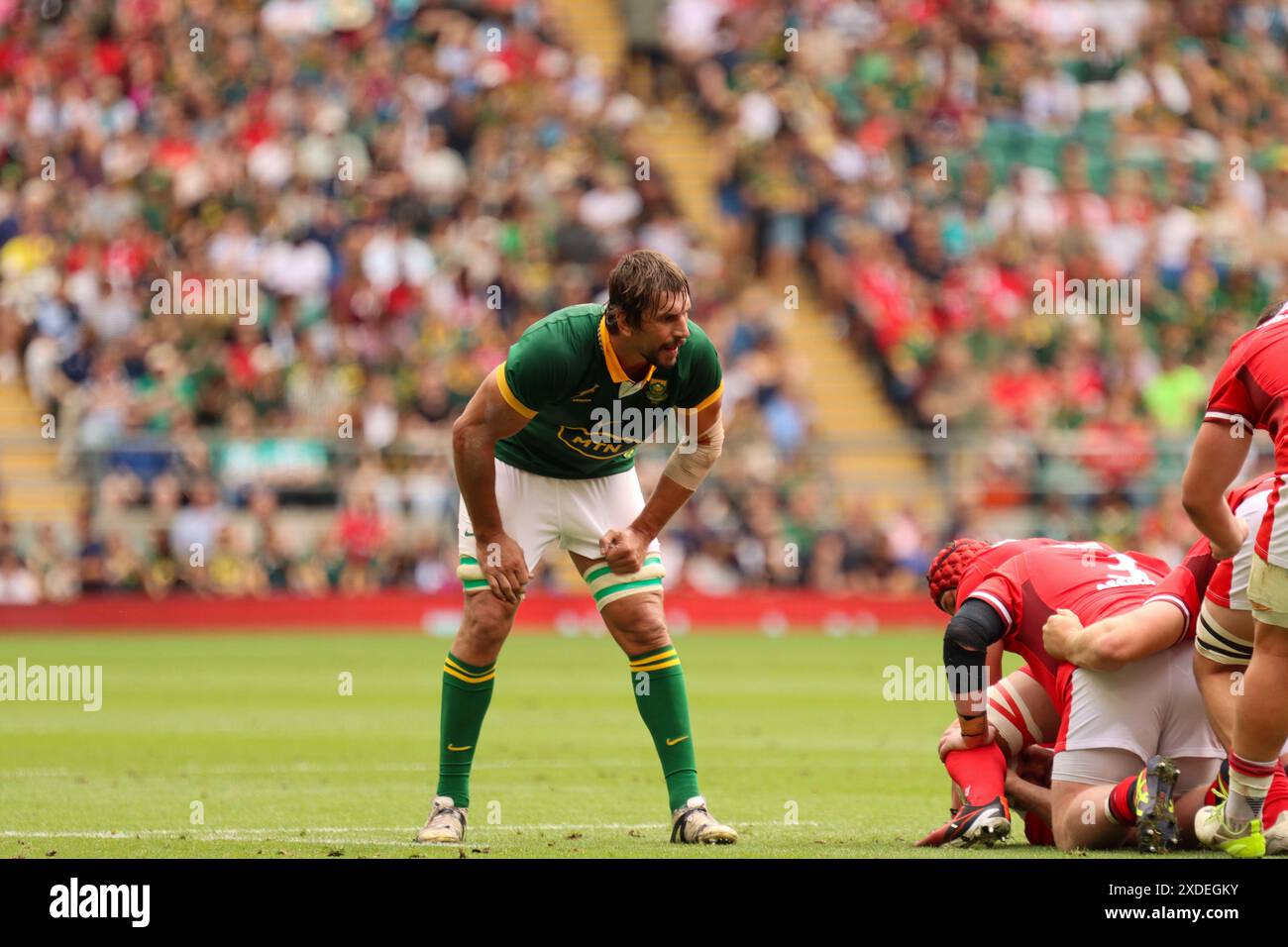 Londra, Regno Unito. 22 giugno 2024. Londra, Inghilterra, sabato 22 giugno 2024: Eben Etzebeth (Sudafrica 4 - Sharks) durante la partita della Qatar Airways Cup tra Sudafrica e Galles allo stadio Twickenham di Londra, Inghilterra, sabato 22 giugno 2024. (Claire Jeffrey/SPP) credito: SPP Sport Press Photo. /Alamy Live News Foto Stock