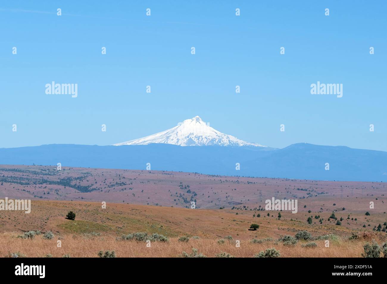 Monte Hood innevato visto nel mese di giugno dalla Highway 97, vicino a Shaniko nella contea di Wasco, Oregon; Mt. Cappuccio in un cielo azzurro e aperto. Foto Stock