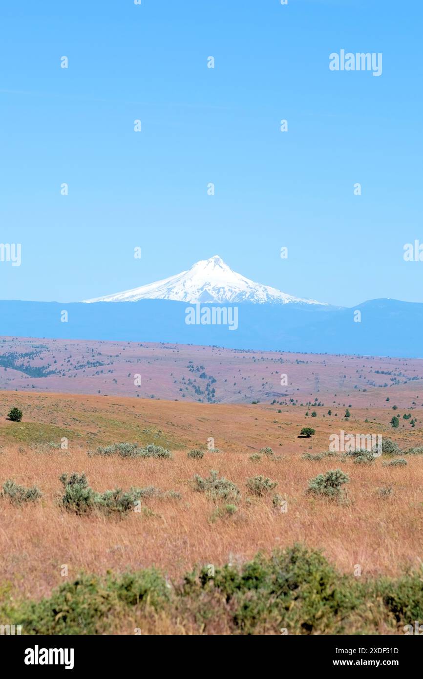 Monte Hood innevato visto nel mese di giugno dalla Highway 97, vicino a Shaniko nella contea di Wasco, Oregon; Mt. Cappuccio in un cielo azzurro e aperto. Foto Stock