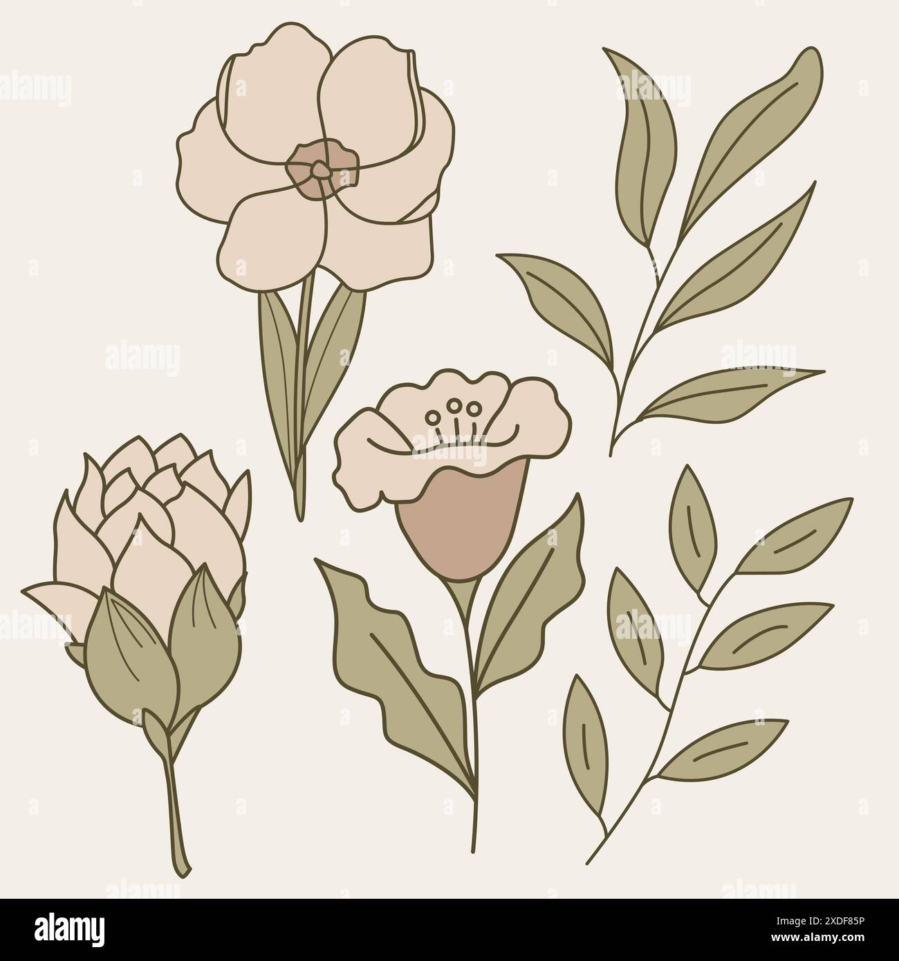 Set di 5 elementi botanici vettoriali caratterizzati da fiori e rami in linea color pastello, perfetto per design moderni ed eleganti Illustrazione Vettoriale