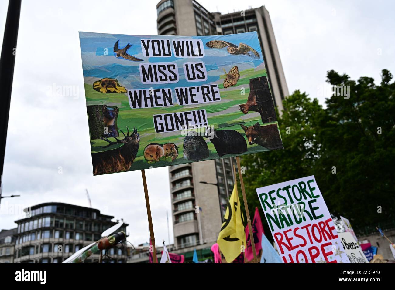 LONDRA, REGNO UNITO. 22 giugno 2024. Restaurare la natura ora: Siamo la marcia degli elettori climatici - il più grande danno alla natura è causato da guerre, invasioni, e dalla distruzione deliberata del pianeta, non dal cambiamento climatico, quindi ripristinare la natura immediatamente. A Londra, Regno Unito credito: Vedi li/Picture Capital/Alamy Live News Foto Stock