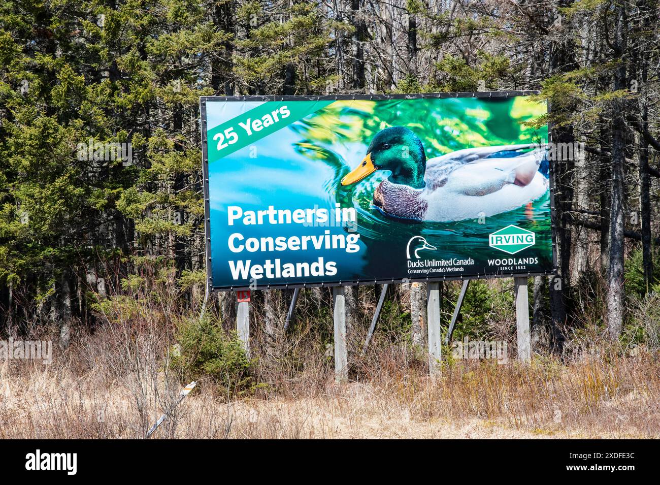 I partner che lavorano in zone umide conservano firmano sulla Trans Canada Highway ad Aulac, New Brunswick, Canada Foto Stock