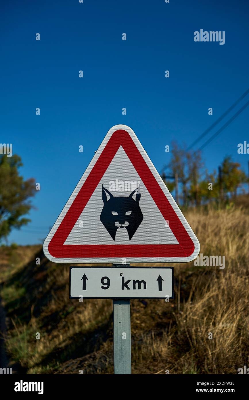 Segnaletica stradale rossa e bianca di Lynx iberica, Lynx pardinus, una specie di gatto selvatico endemica della penisola iberica in Spagna e Portogallo, molto tre Foto Stock