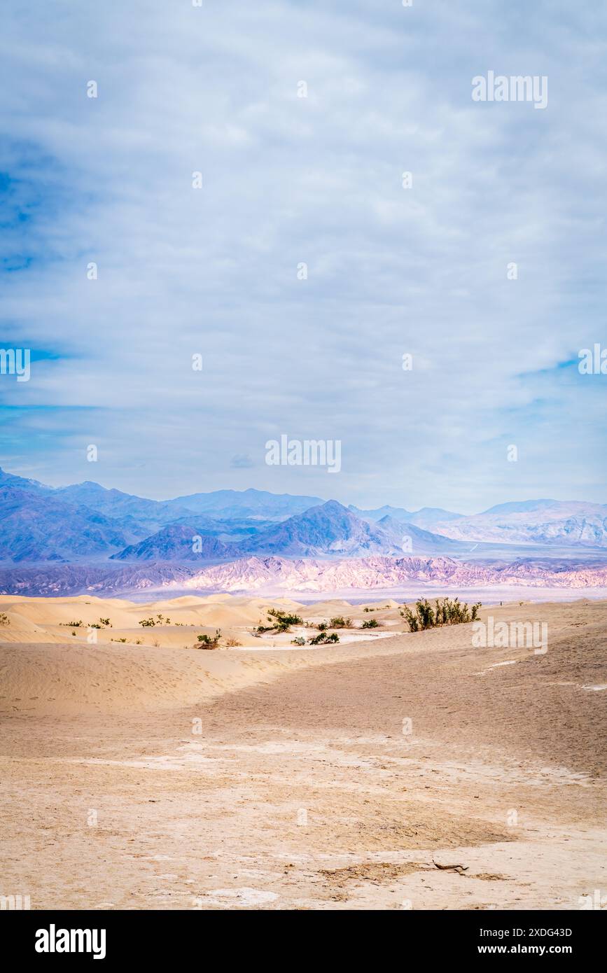 Vista panoramica delle dune di sabbia di Mesquite Flat e delle montagne dietro al Death Valley National Park in California Foto Stock