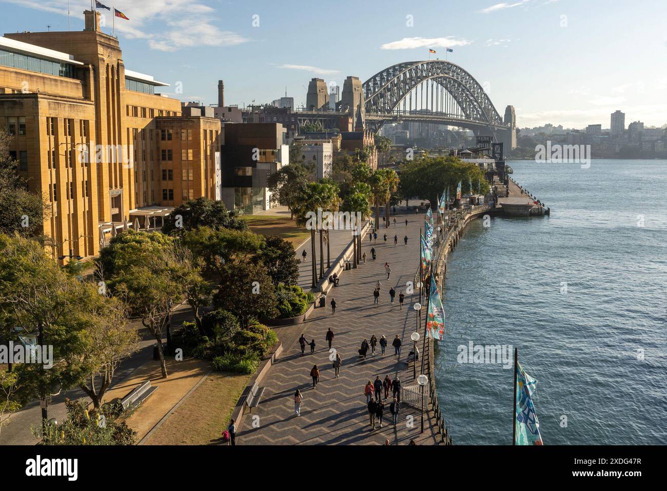 Il porto di Sydney è visto dall'Observatory Park all'area di Sydney Rocks e a North Sydney Foto Stock