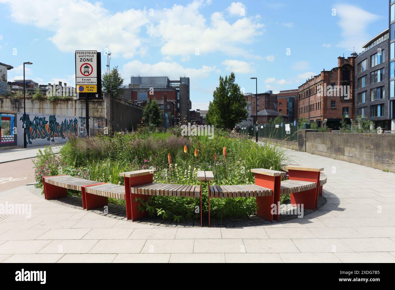 Castlegate Grey to Green Park Sheffield City Center Inghilterra Regno Unito, vegetazione interna della città piante da giardino pubblico ambiente urbano sostenibilità biodiversità Foto Stock