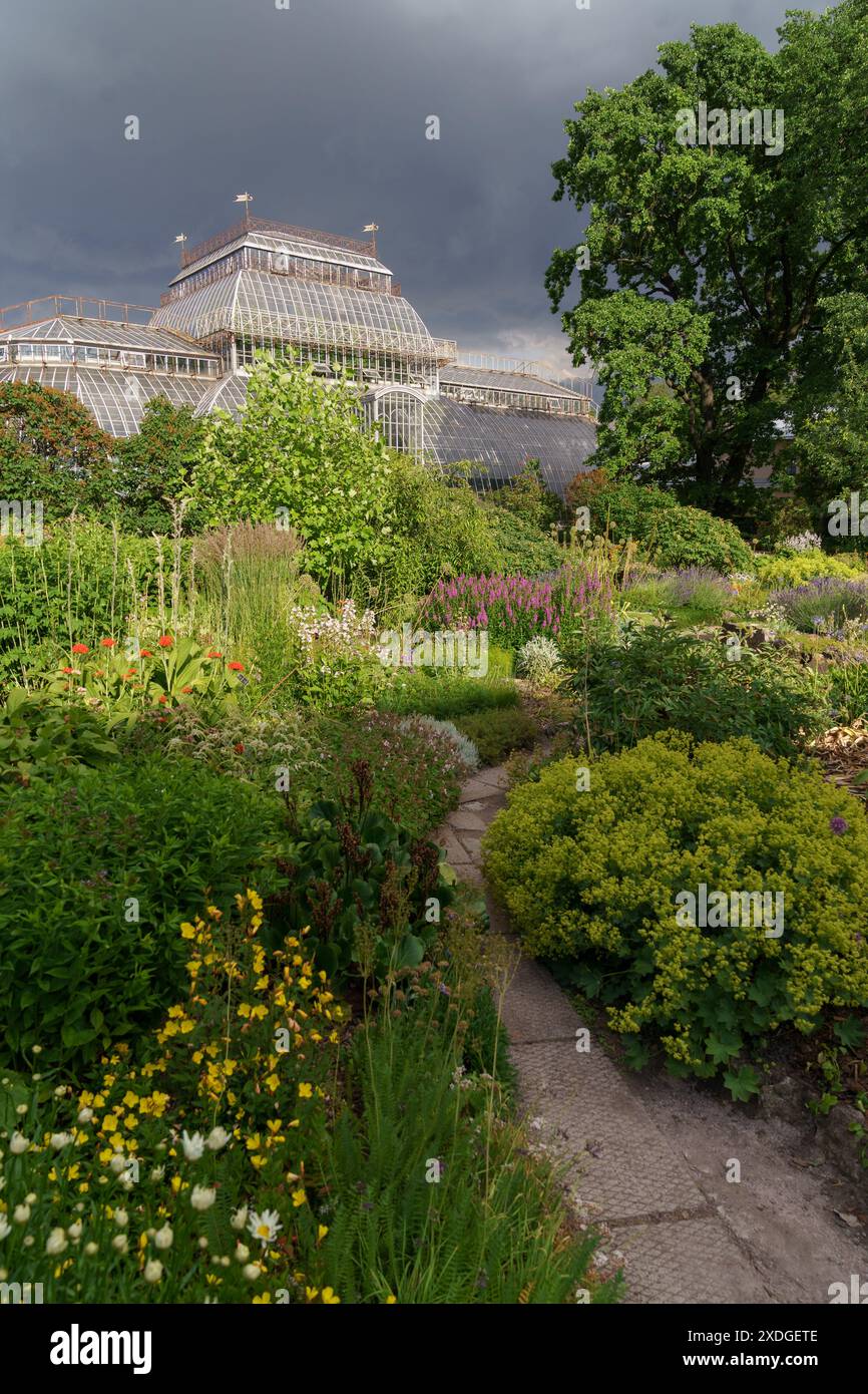 Serra tropicale, giardino botanico. Territorio di orangerie con piante ornamentali in fiore Foto Stock