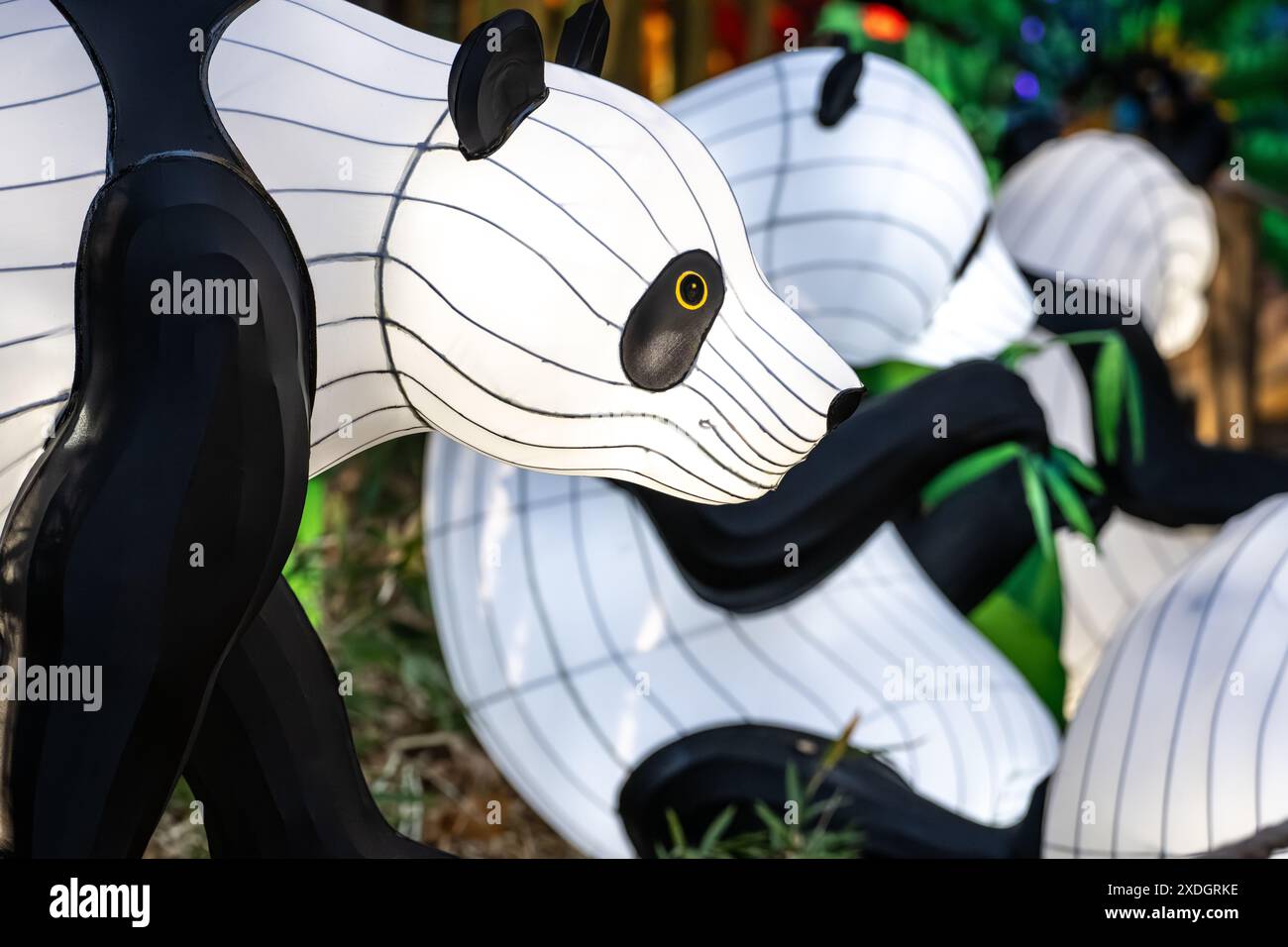 Panda Bear Chinese lantern art allo Zoo Atlanta for IllumiNights allo Zoo di Atlanta, Georgia. (USA) Foto Stock