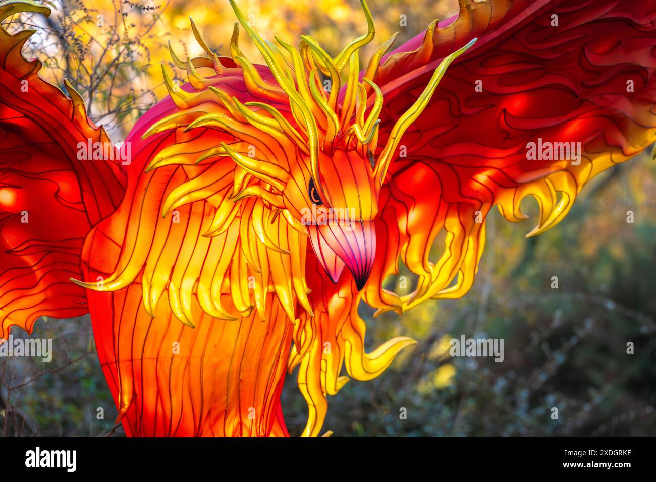 Fiery phoenix Chinese lantern art allo Zoo Atlanta for IllumiNights allo Zoo di Atlanta, Georgia. (USA) Foto Stock