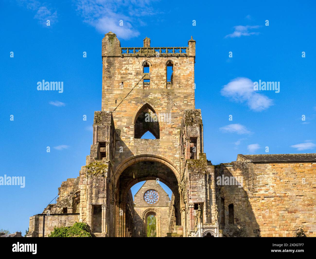 Jedburgh Abbey, Scottish Borders, Scozia, Regno Unito, prelevato dall'esterno del terreno. Bel cielo blu profondo. Foto Stock