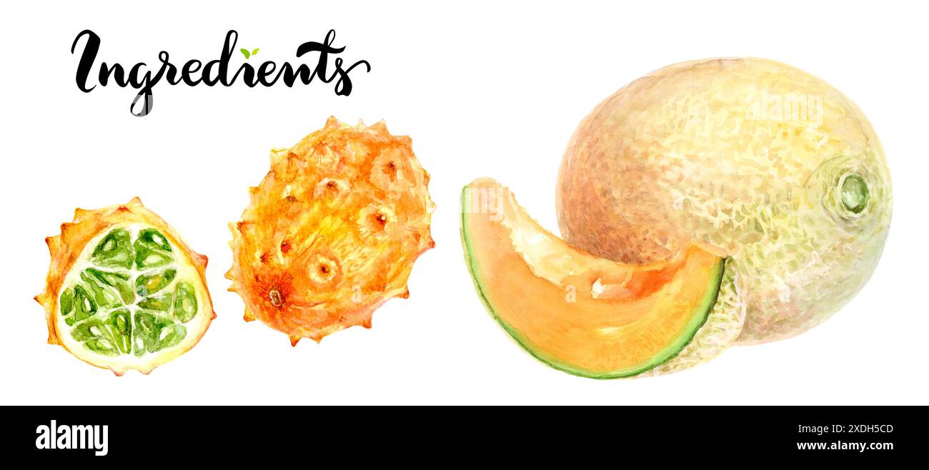 Illustrazione di acquerelli di Kiwano e Meloni Cantaloupe, colori e texture vivaci. Frutta secca Foto Stock Illustrazione di acquerelli di Kiwano e Meloni Cantaloupe, colori e texture vivaci. Frutta secca Foto Stock
