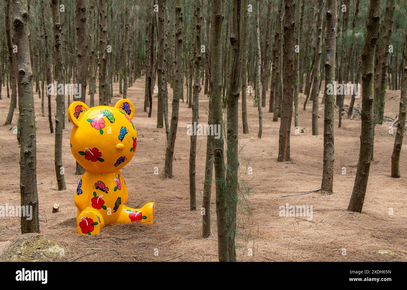 Bear nei boschi Foto Stock