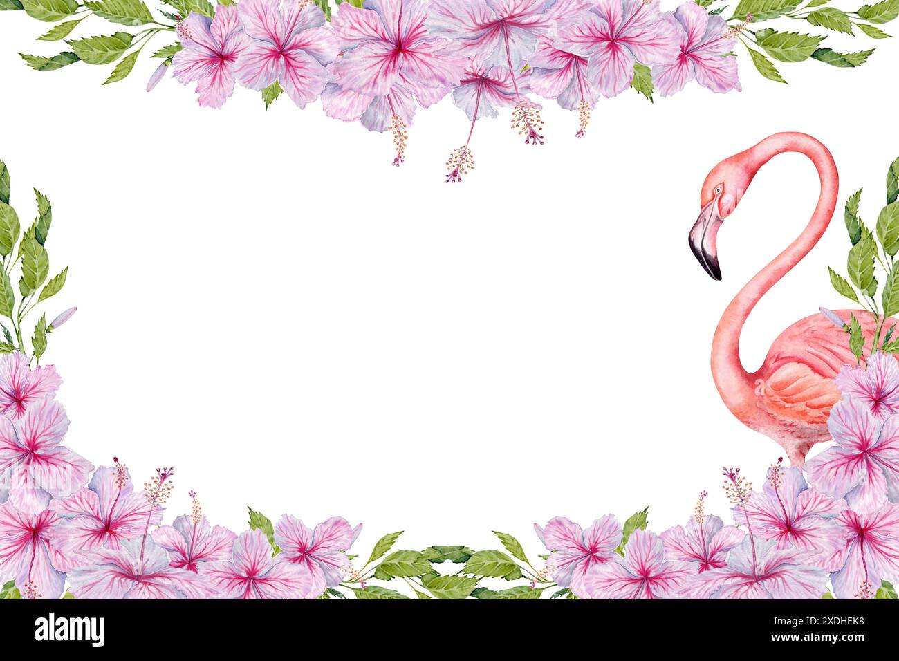 Uccello fenicottero e fiori di ibisco rosa con eleganti foglie botaniche e gemme esotico design di biglietti d'auguri. Modello ad acquerello disegnato a mano per le carte, Foto Stock
