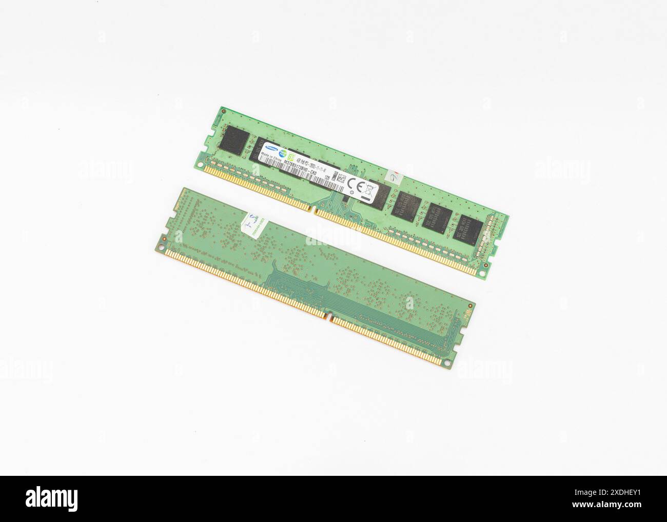 Due RAM su sfondo bianco isolato Foto Stock