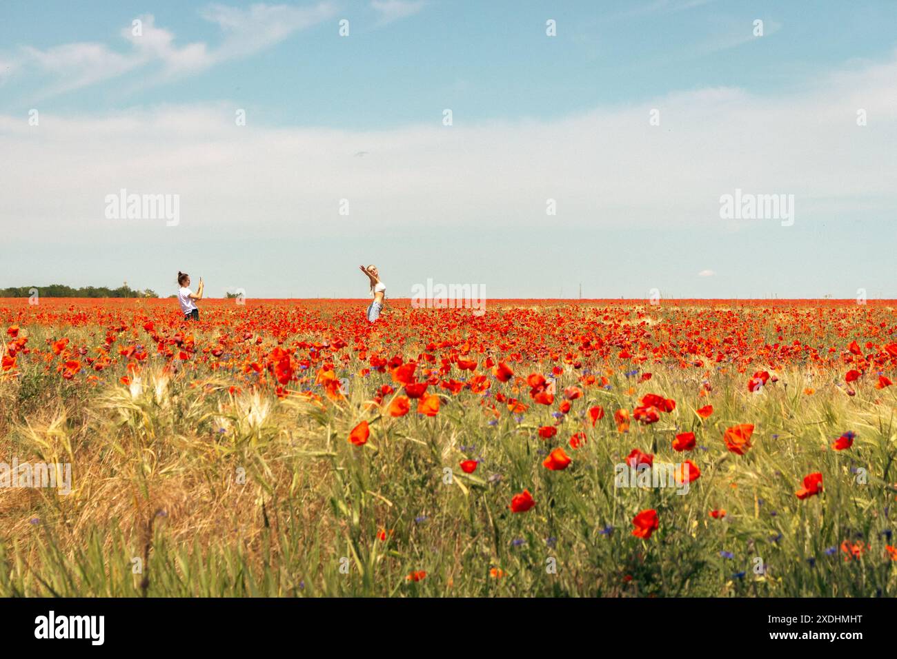 Due ragazze che fanno foto nel campo del papavero. Turisti in campo papavero. Amici felici sul paesaggio aereo estivo. Donne che fanno una foto sul paesaggio estivo. Foto Stock