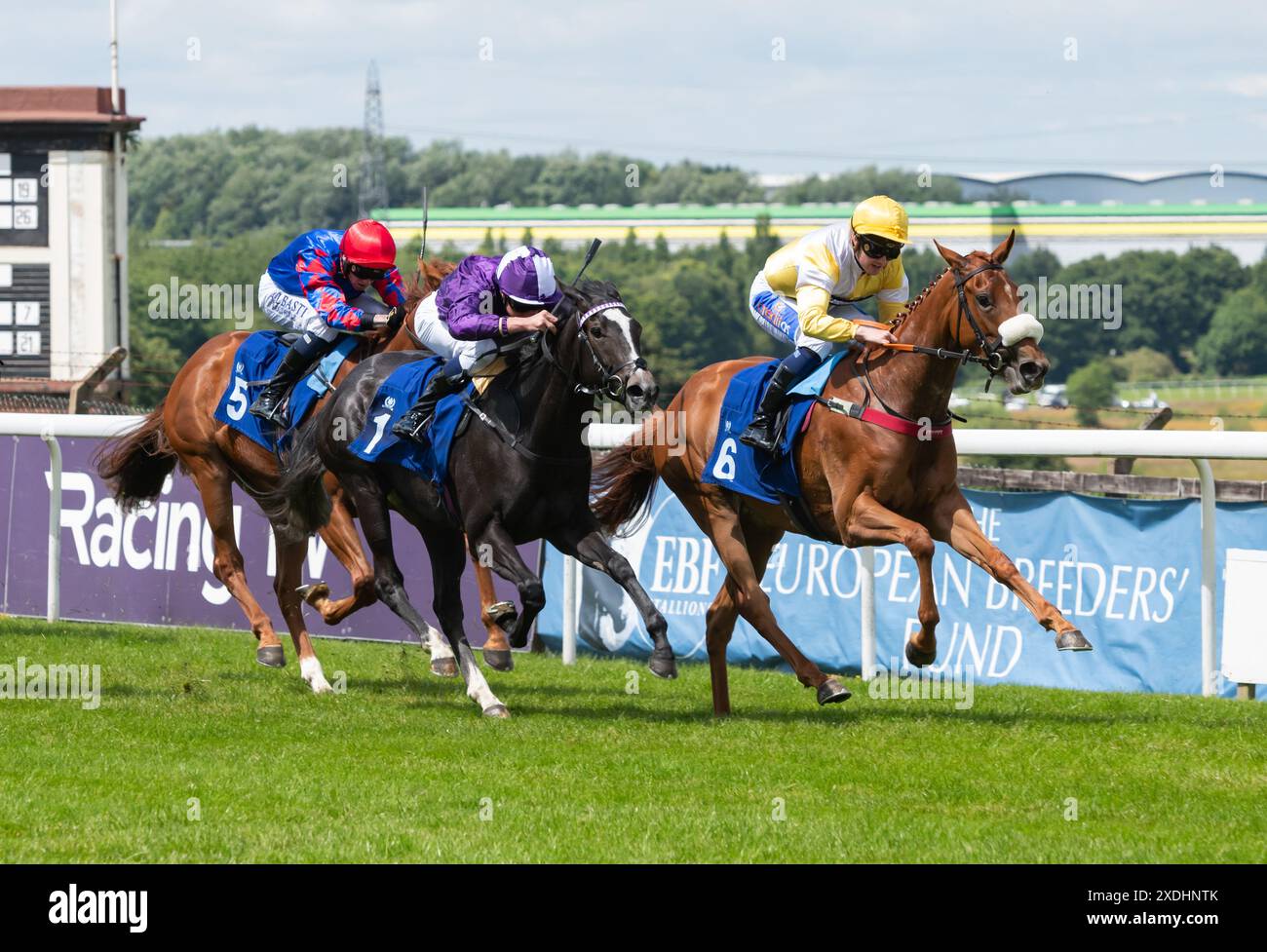 Pontefract, Regno Unito. Domenica 23 giugno 2024. Selection e Shane Gray vincono gli spot pubblicitari del Nord la tua concessionaria IVECO locale EBF Fillies' Restricted Novice Stakes per il formatore Craig Lidster e Owners Ontoawinner & Alfa Site Services Limited. Crediti JTW equine Images / Alamy Live News Foto Stock