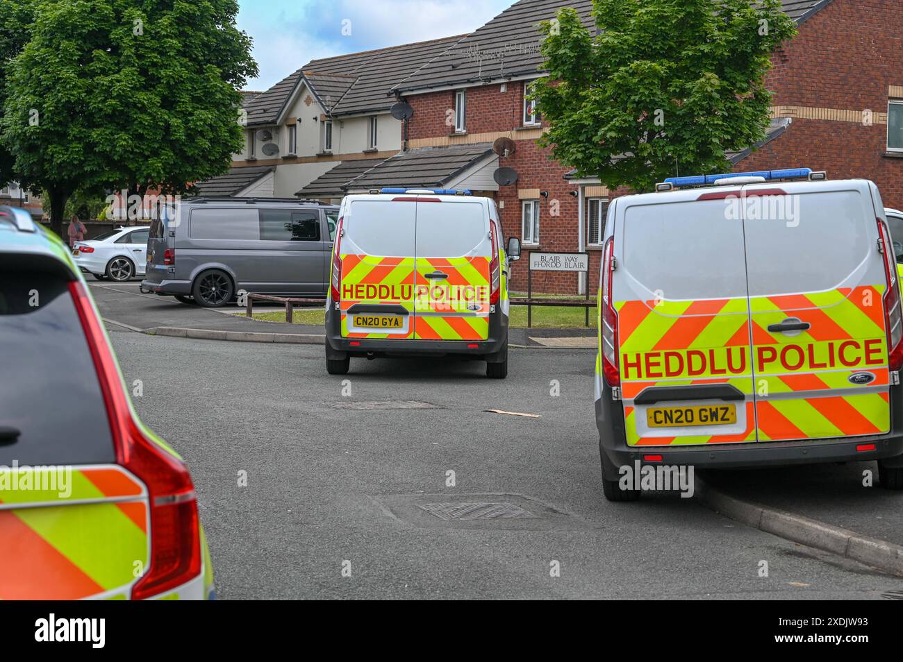 17 giugno 2024, Aberavon, Galles. Agenti di polizia armati sulla scena di un sospetto attacco di cani ad Aberavon, Port Talbot, stamattina. Una persona è stata portata in ospedale e i residenti nelle vicinanze sono stati chiusi dalla polizia mentre affrontavano la situazione. Si ritiene che il cane fosse un tipo di bullo XL come era sedato dagli ufficiali. Foto Stock