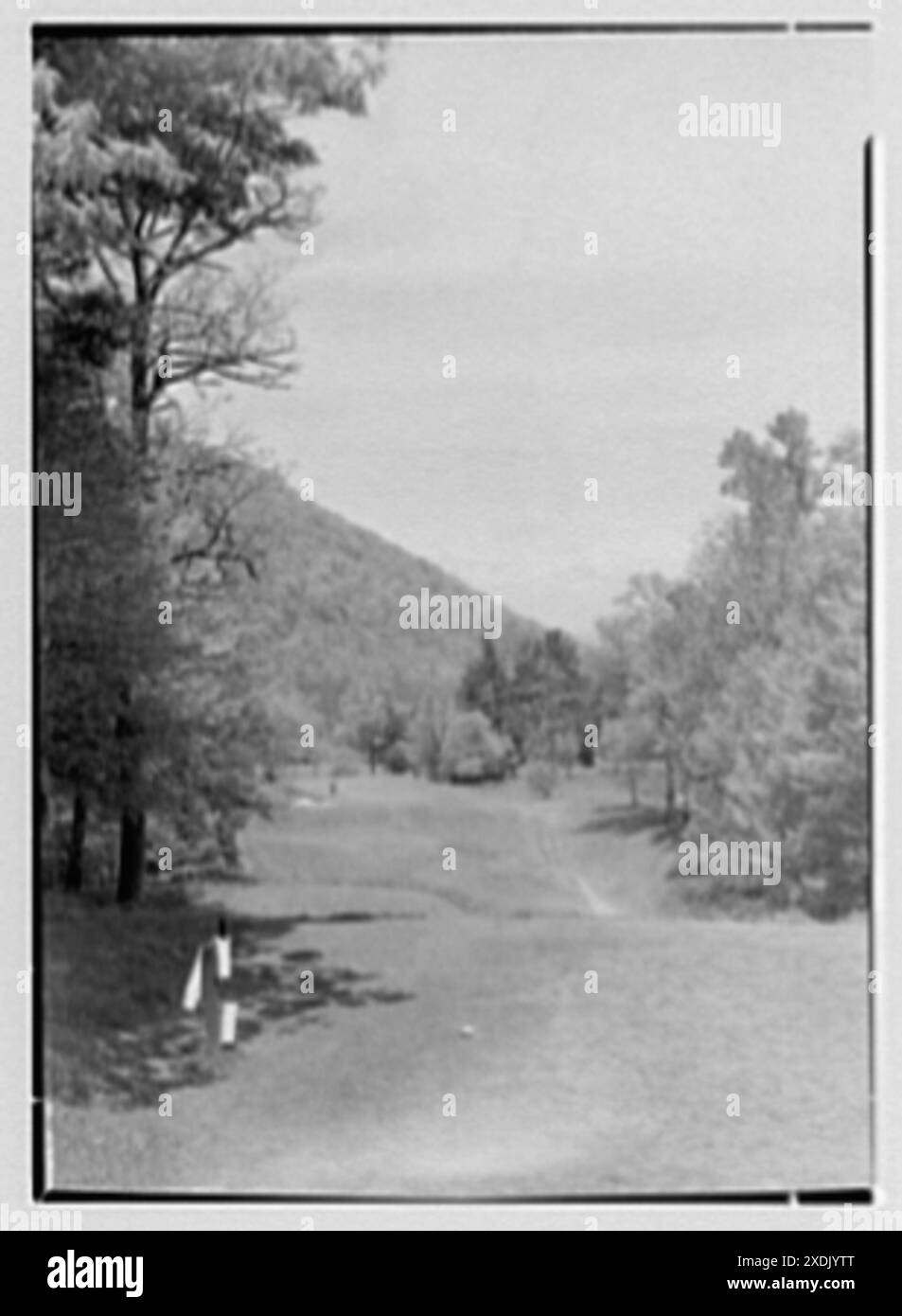 The Homestead, Hot Springs, Virginia. Quarto raccordo a T. Collezione Gottscho-Schleisner Foto Stock