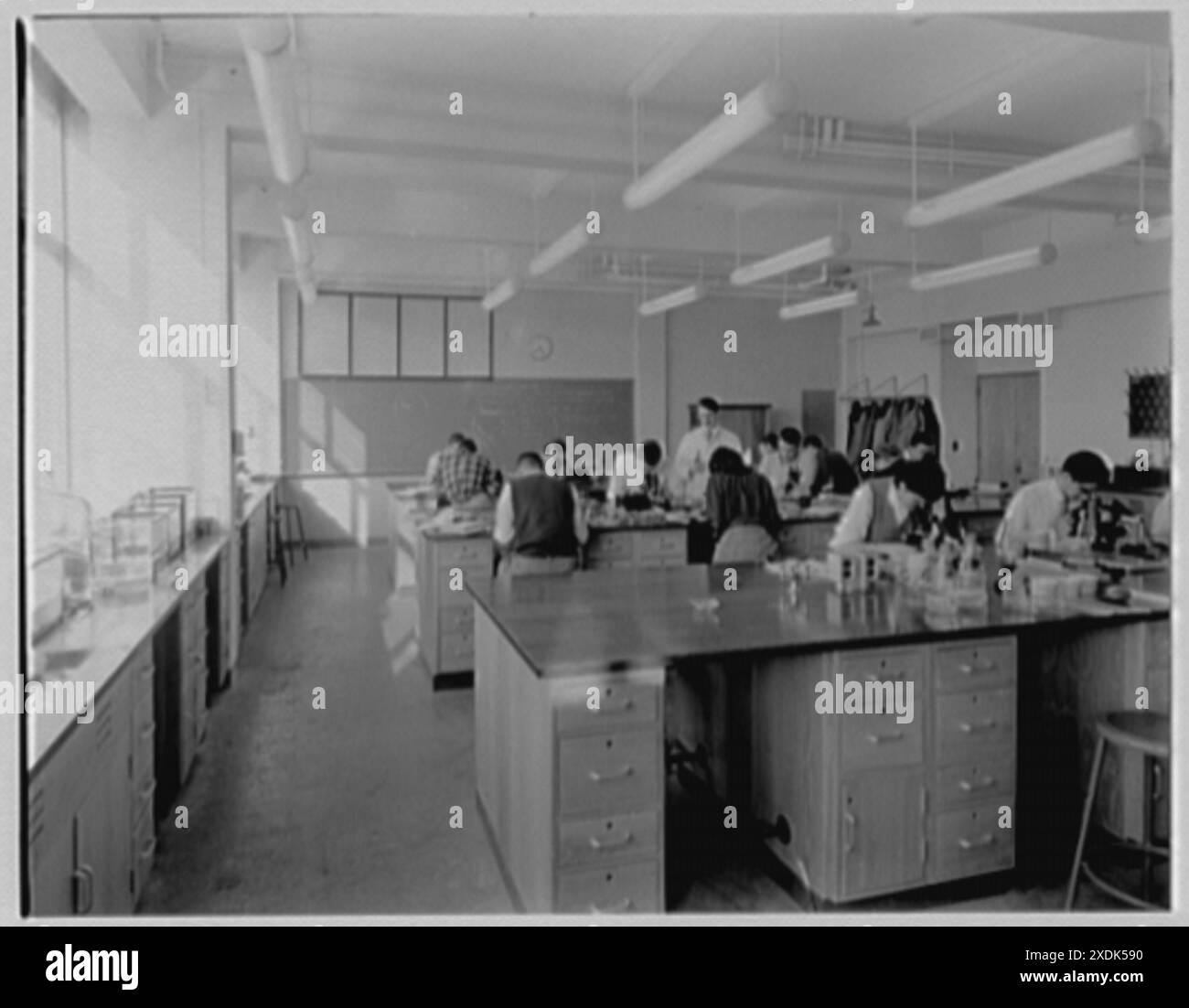 John Thompson Dorrance Laboratory, M.I.T., Cambridge, Massachusetts. Lezione di biologia. Collezione Gottscho-Schleisner Foto Stock