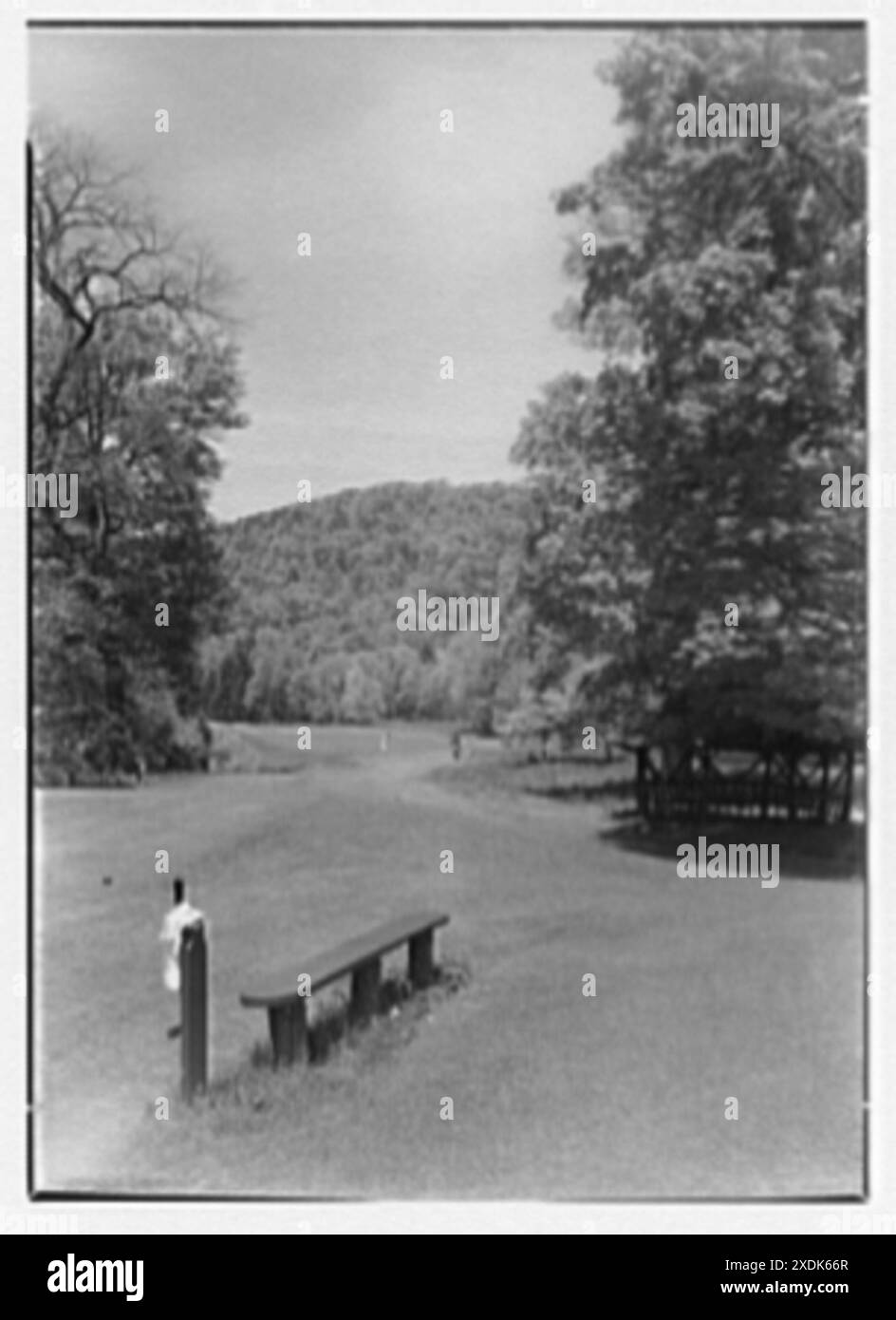 The Homestead, Hot Springs, Virginia. Tredicesima buca. Collezione Gottscho-Schleisner Foto Stock