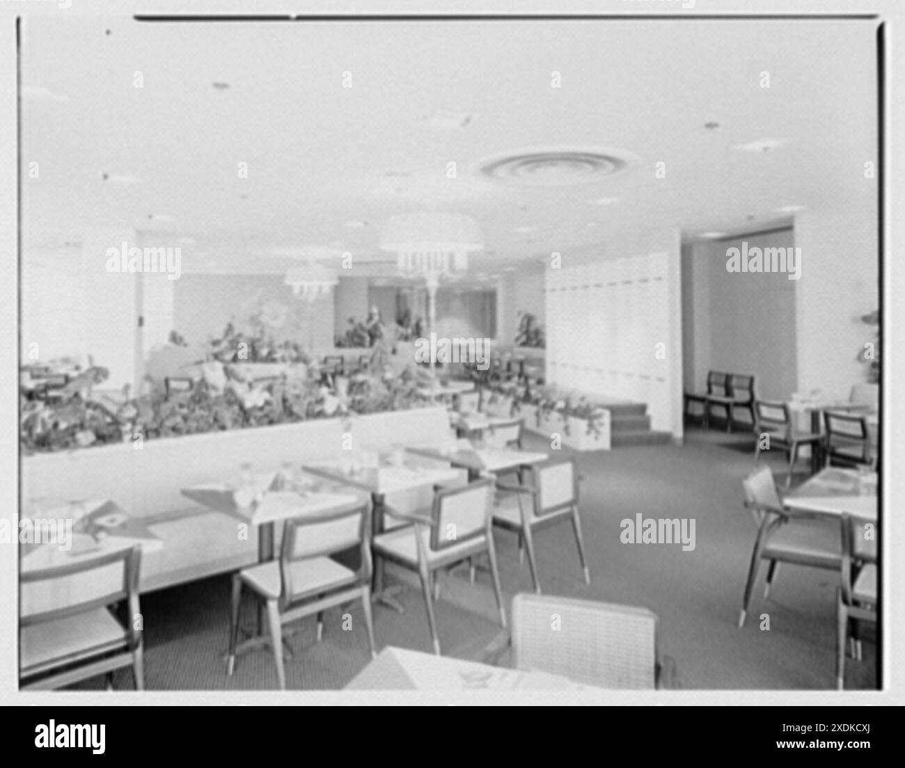 Grandi magazzini Burdine's, affari nel 163rd St. Shopping Center, Miami, Florida. Sala da tè, all'interno. Collezione Gottscho-Schleisner Foto Stock