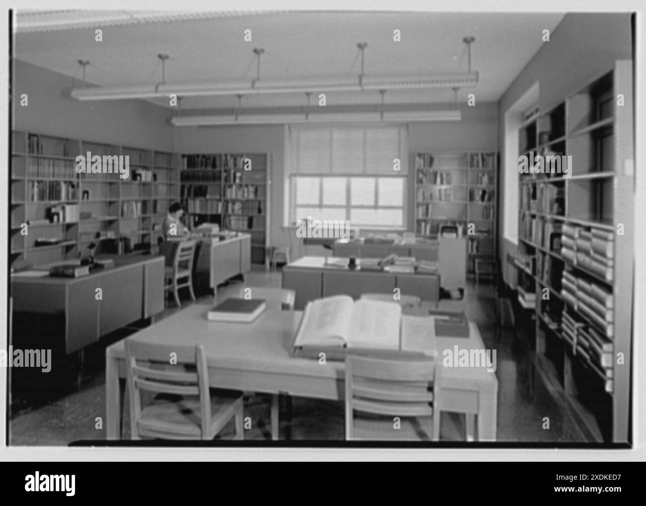 Goucher College, Towson, Maryland. Reparto cataloghi. Collezione Gottscho-Schleisner Foto Stock