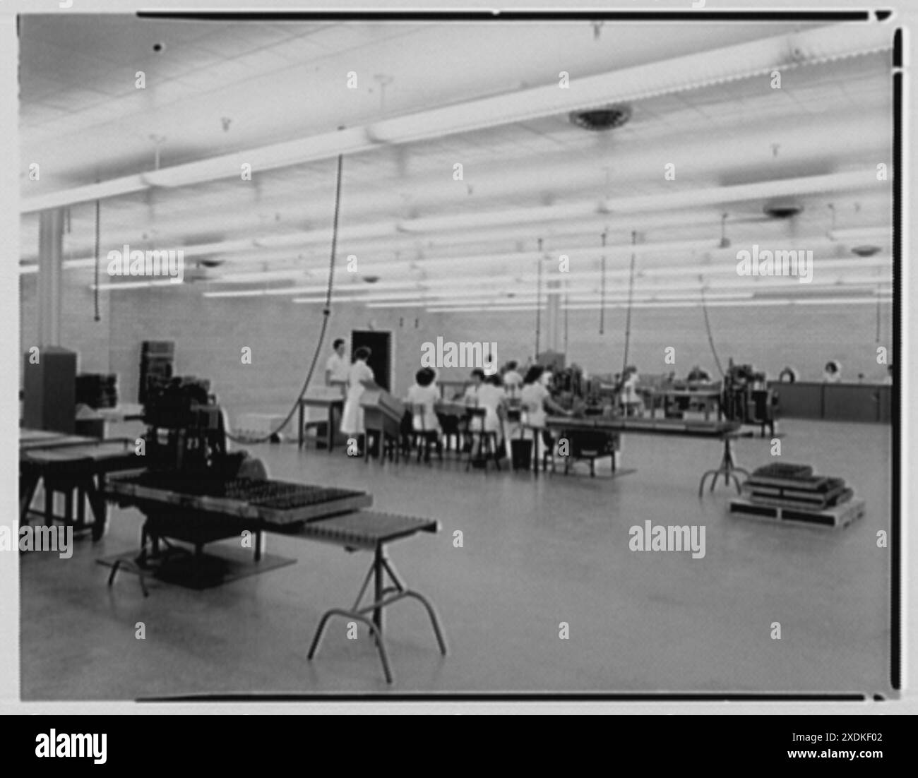 Ciba (produzione farmaceutica), Summit, New Jersey. Sala di confezionamento. Collezione Gottscho-Schleisner Foto Stock