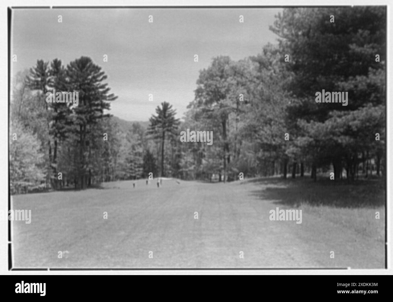 The Homestead, Hot Springs, Virginia. Nono foro. Collezione Gottscho-Schleisner Foto Stock