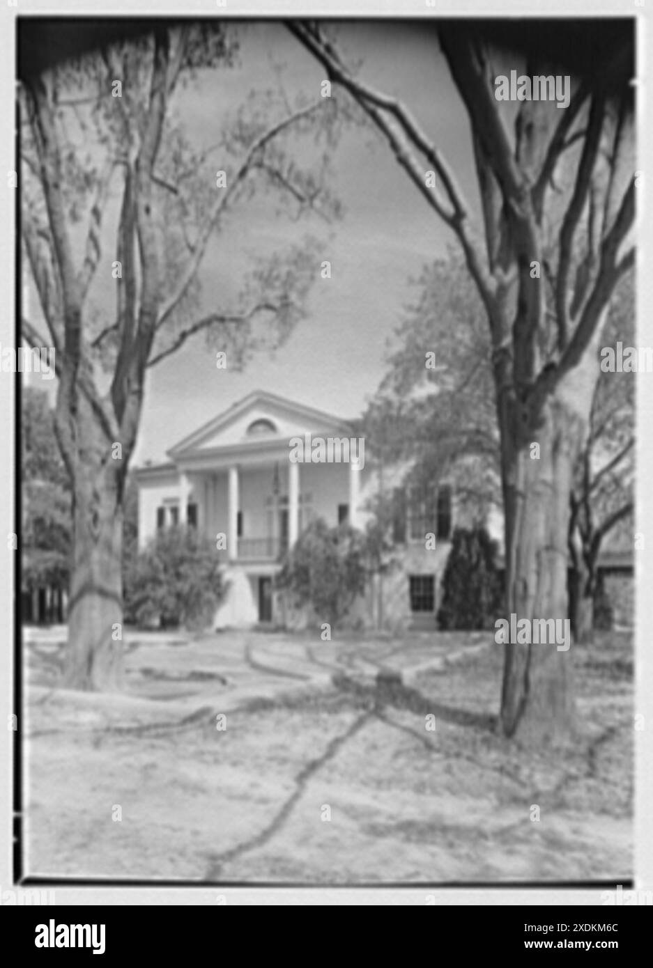 Il signor e la signora Edgar B. Stern, residenza all'11 Garden Ln., New Orleans, Louisiana. Portico, verticale tra gli alberi. Collezione Gottscho-Schleisner Foto Stock
