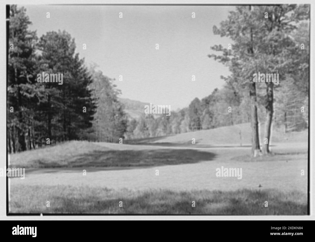 The Homestead, Hot Springs, Virginia. No. 2 putting green. Collezione Gottscho-Schleisner Foto Stock