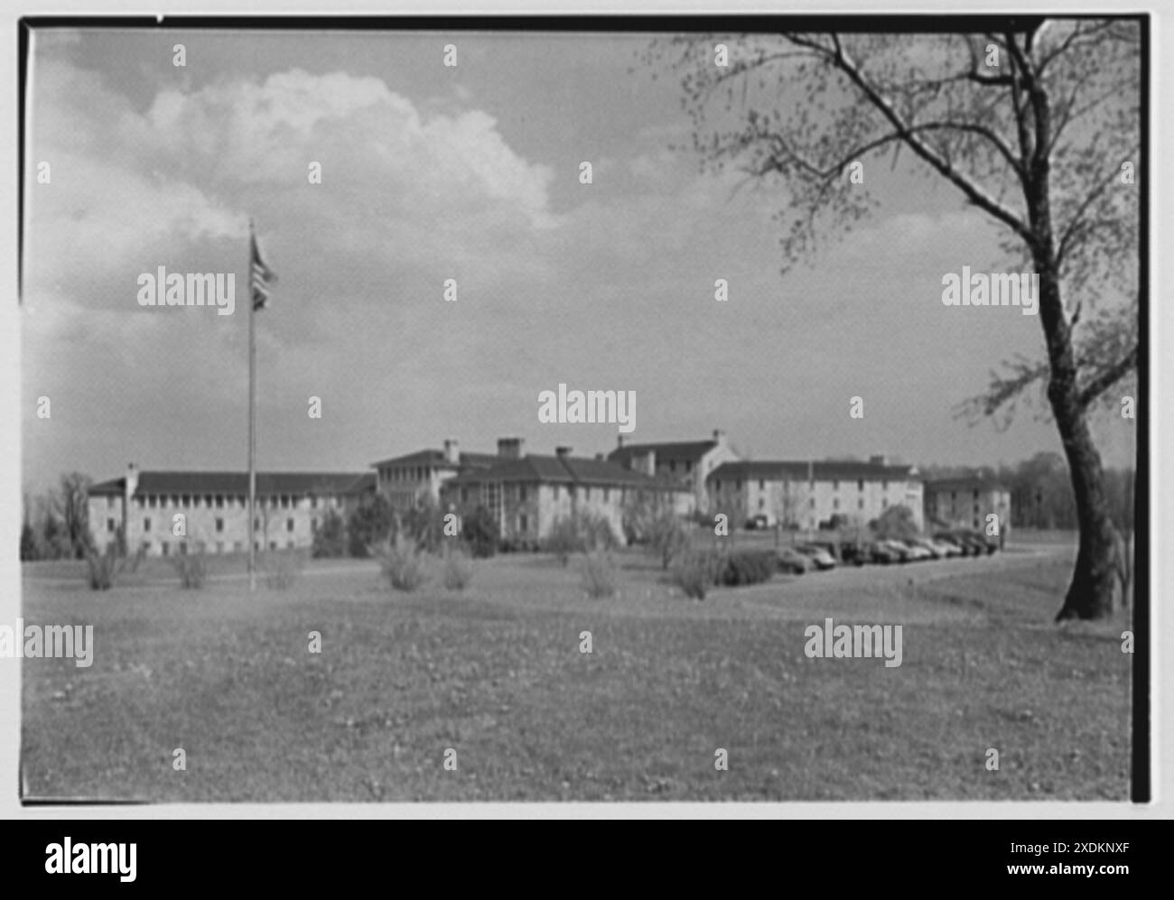 Goucher College, Towson, Maryland. Albero e gruppo. Collezione Gottscho-Schleisner Foto Stock