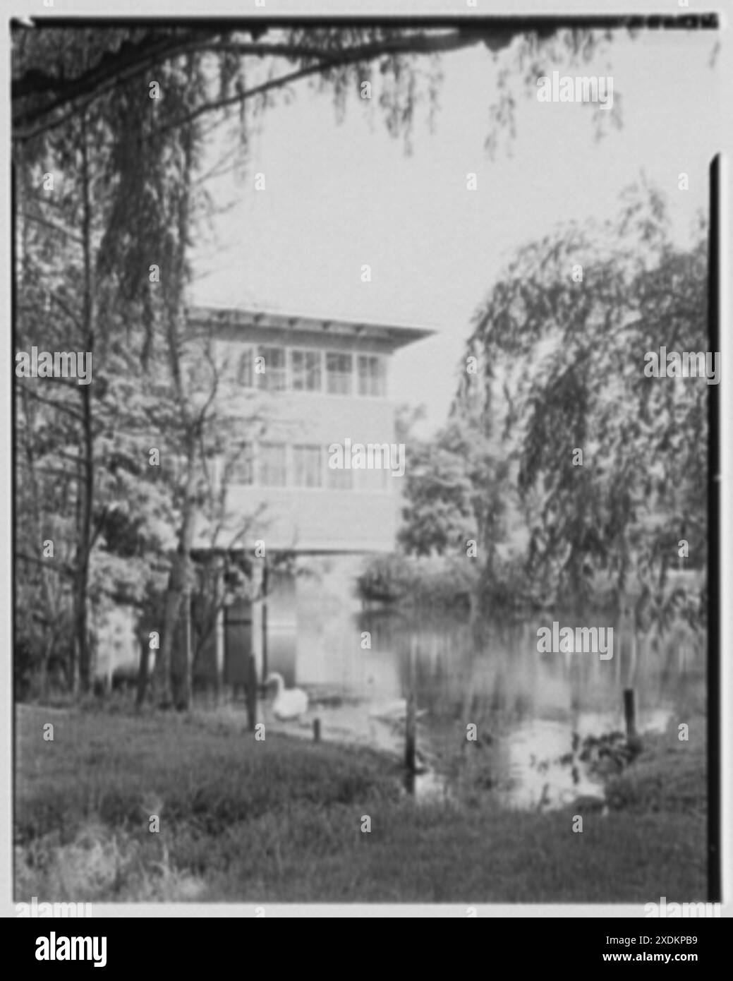 Fairleigh Dickinson, Teaneck, New Jersey. Edificio in classe, verticale, dettaglio tra gli alberi. Collezione Gottscho-Schleisner Foto Stock