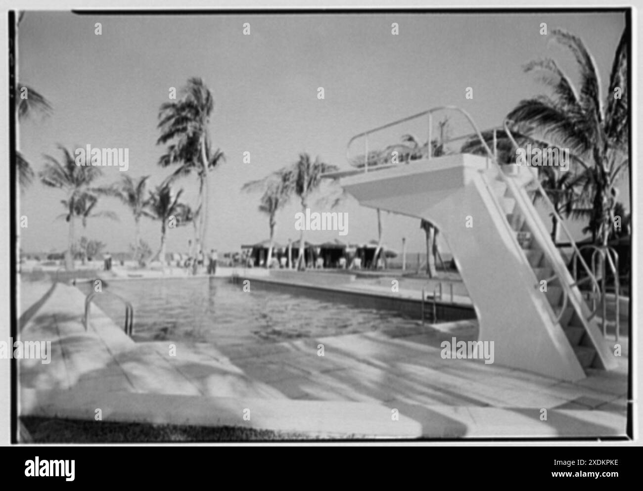 Caribbean Hotel, Miami Beach, Florida. Piscina con piattaforma per immersioni. Collezione Gottscho-Schleisner Foto Stock