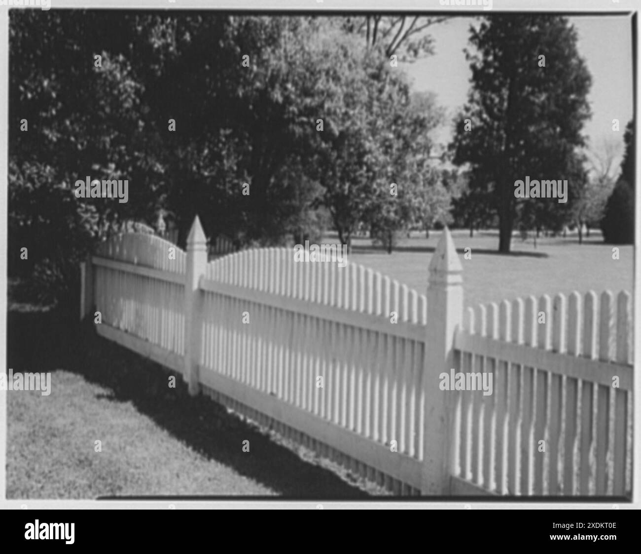 Williamsburg, Virginia. Recinzione su Francis St. Collezione Gottscho-Schleisner Foto Stock