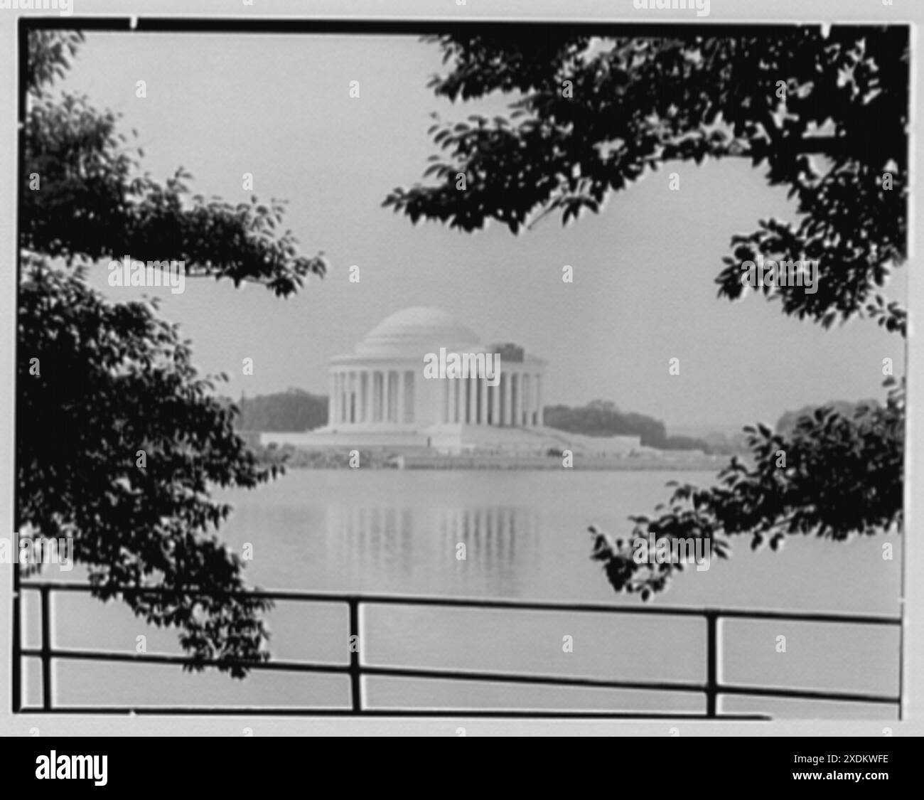 Jefferson Memorial, Washington, D.C., incorniciato da una vista mattutina dall'altra parte del bacino I. Gottscho-Schleisner Collection Foto Stock
