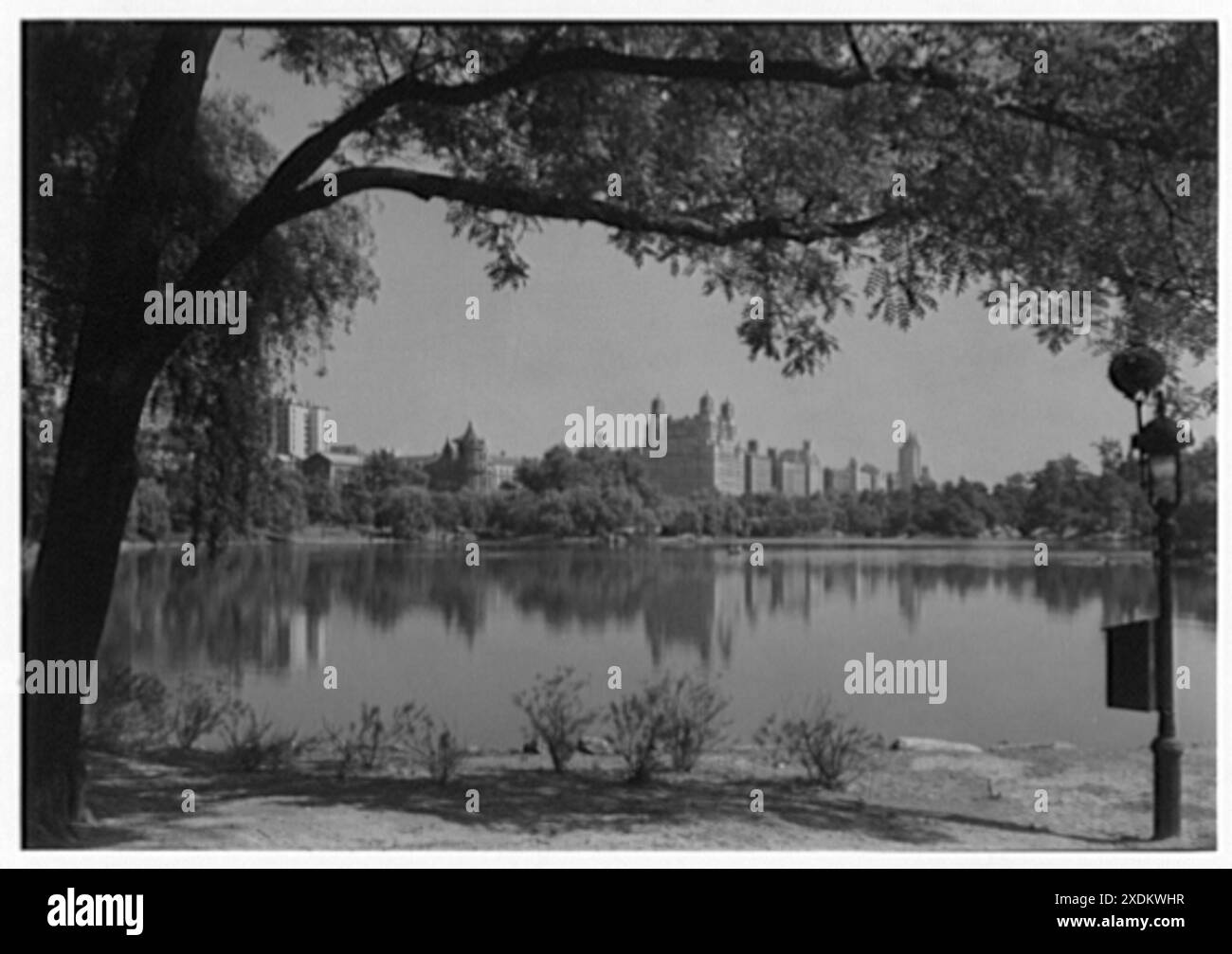 Vista sulla città di New York. Orizzontale di Central Park West, riflesso nel lago. Collezione Gottscho-Schleisner Foto Stock