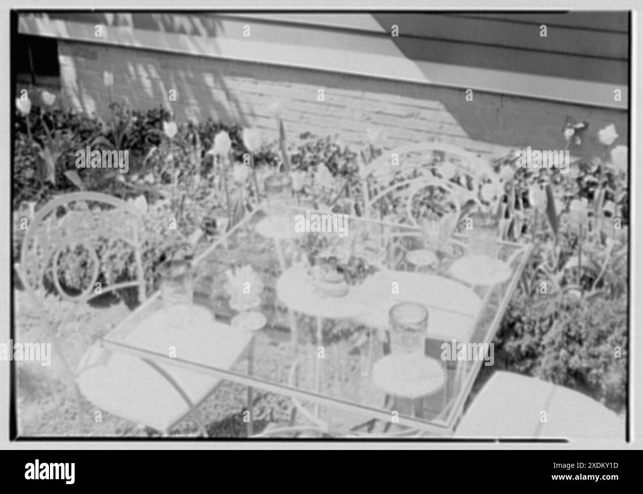 Ullman Co., 319 McKibbin St., Brooklyn, New York. Preparazione del tè freddo. Collezione Gottscho-Schleisner Foto Stock