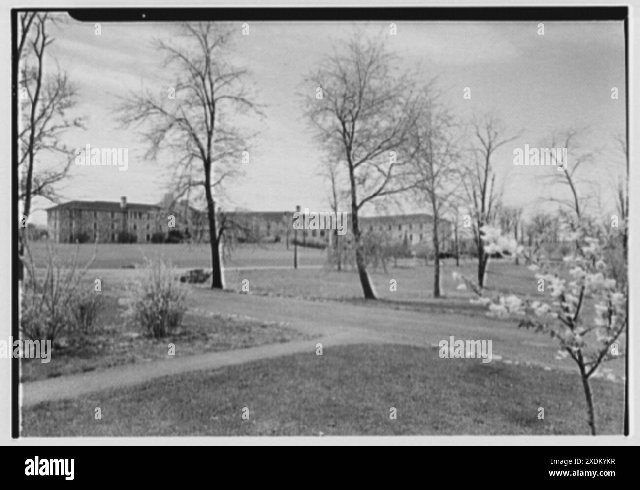 Goucher College, Towson, Maryland. Biblioteca III. Collezione Gottscho-Schleisner Foto Stock