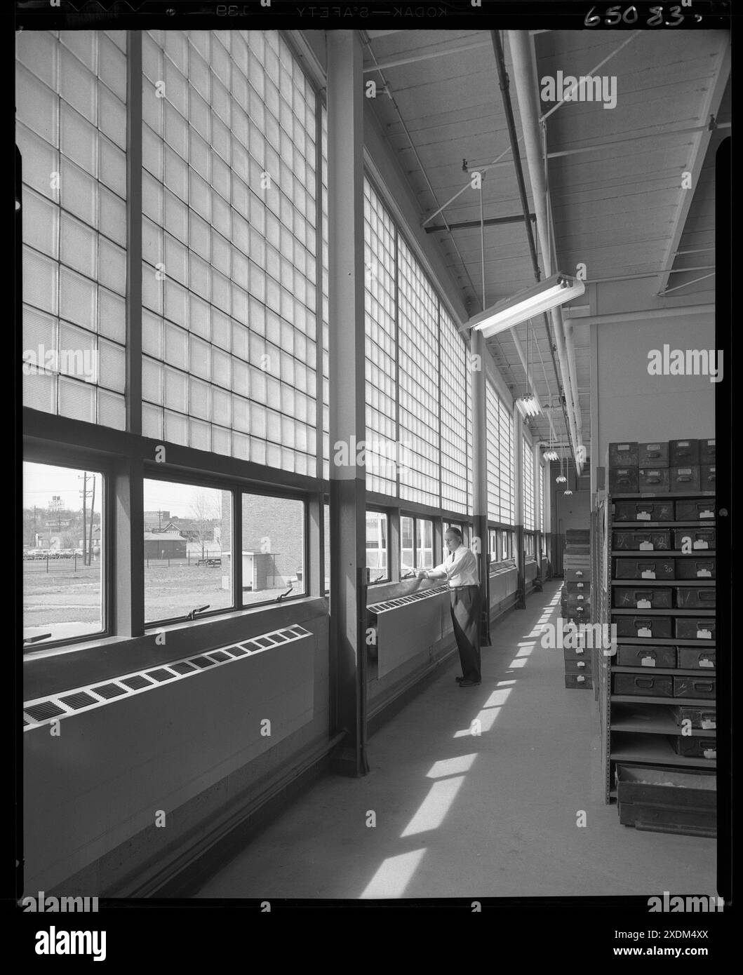 Becton Dickinson & Co., Rutherford, New Jersey. Parete di vetro. Collezione Gottscho-Schleisner Foto Stock