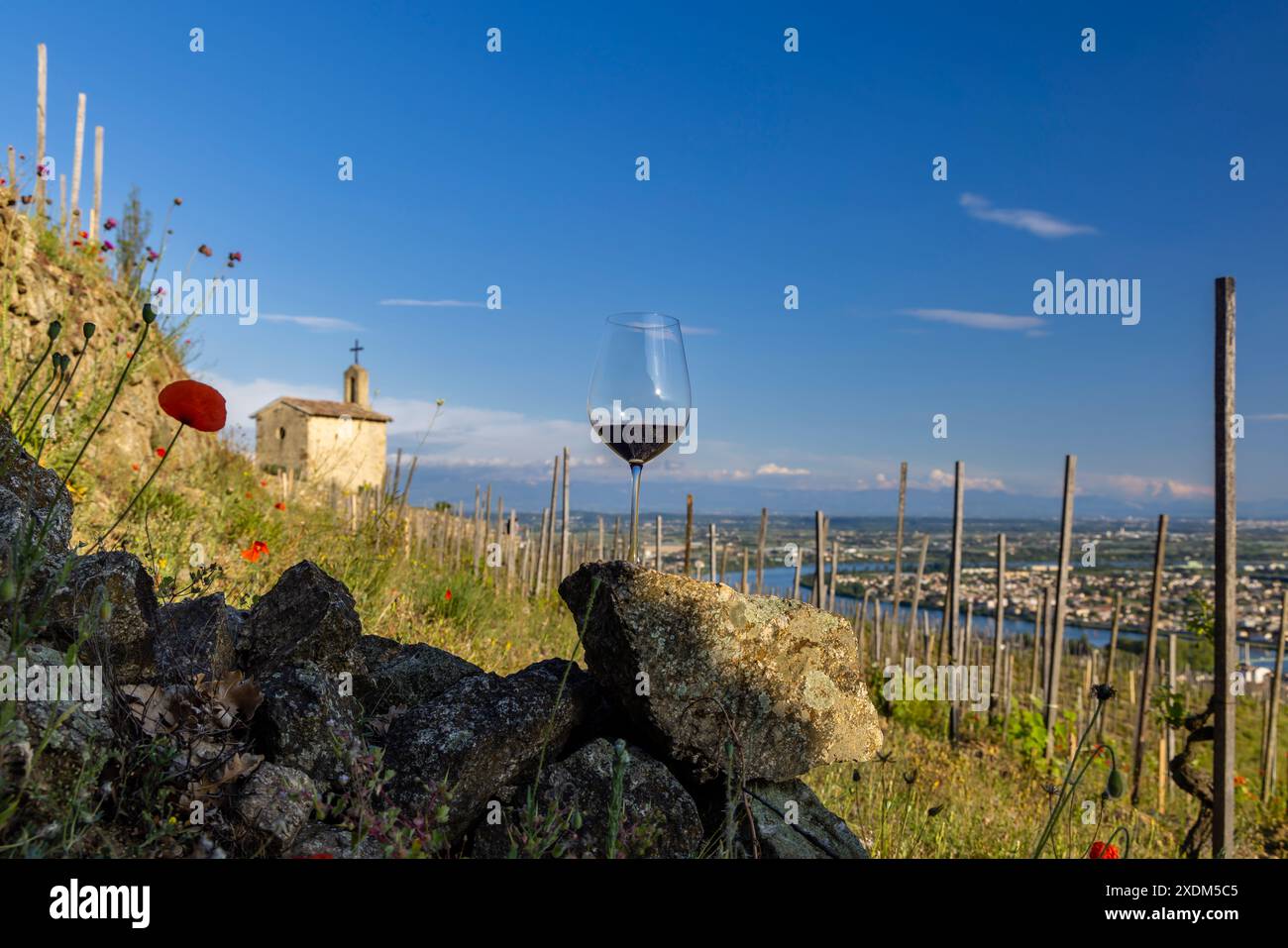 Vigneto Grand cru e Cappella di San Cristoforo, Tain l'Hermitage, Rodano-Alpi, Francia Foto Stock