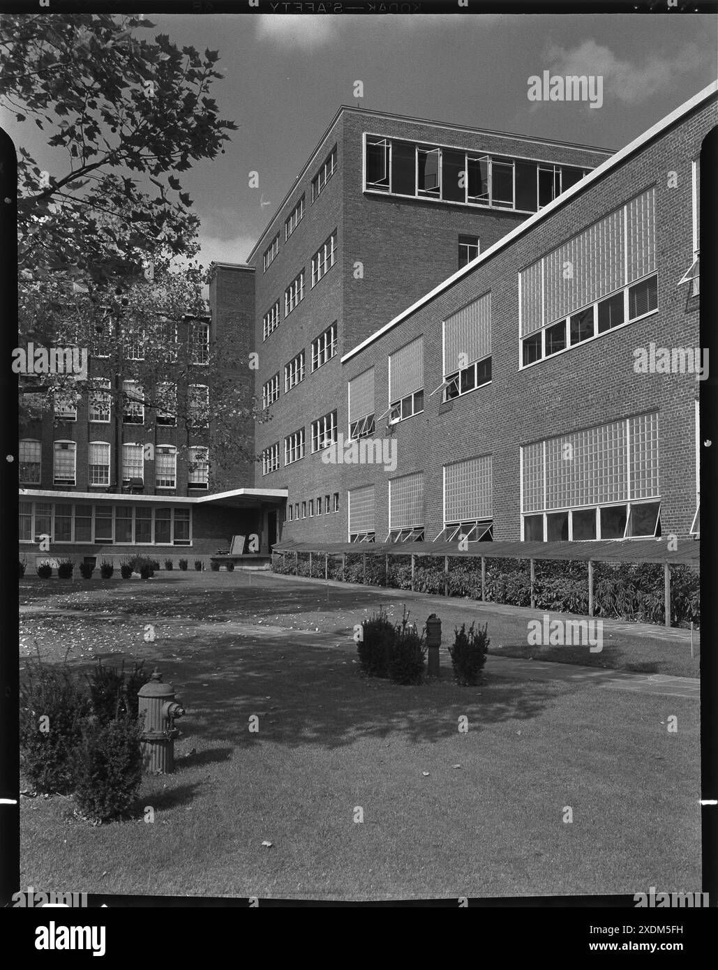 Becton Dickinson, East Rutherford, New Jersey. Molo di carico. Collezione Gottscho-Schleisner Foto Stock
