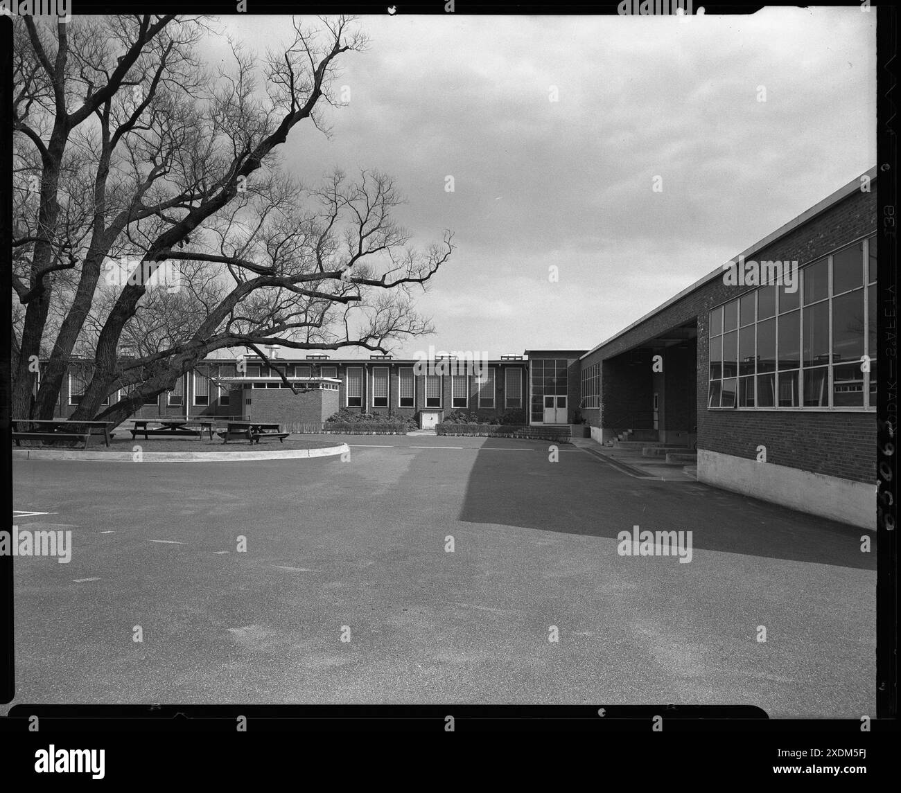 Becton Dickinson & Co., Rutherford, New Jersey. Esterno II. Collezione Gottscho-Schleisner Foto Stock