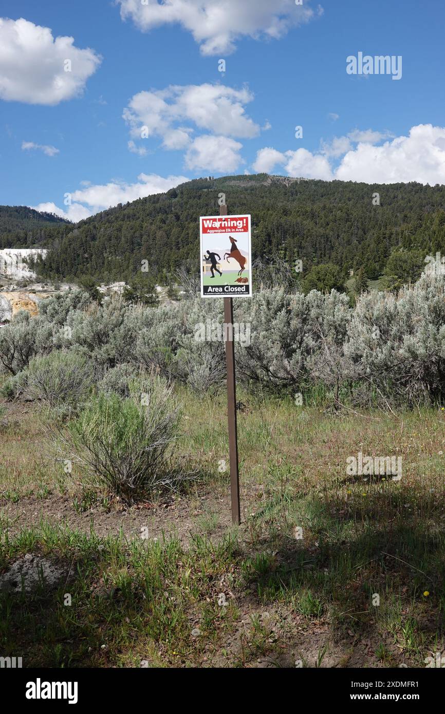 Pericolo non avvicinarsi al cartello di segnalazione della fauna selvatica in un'area in cui gli alci allevano i loro giovani nel Mammoth Hot Springs Yellowstone National Park, Wyoming, Stati Uniti Foto Stock
