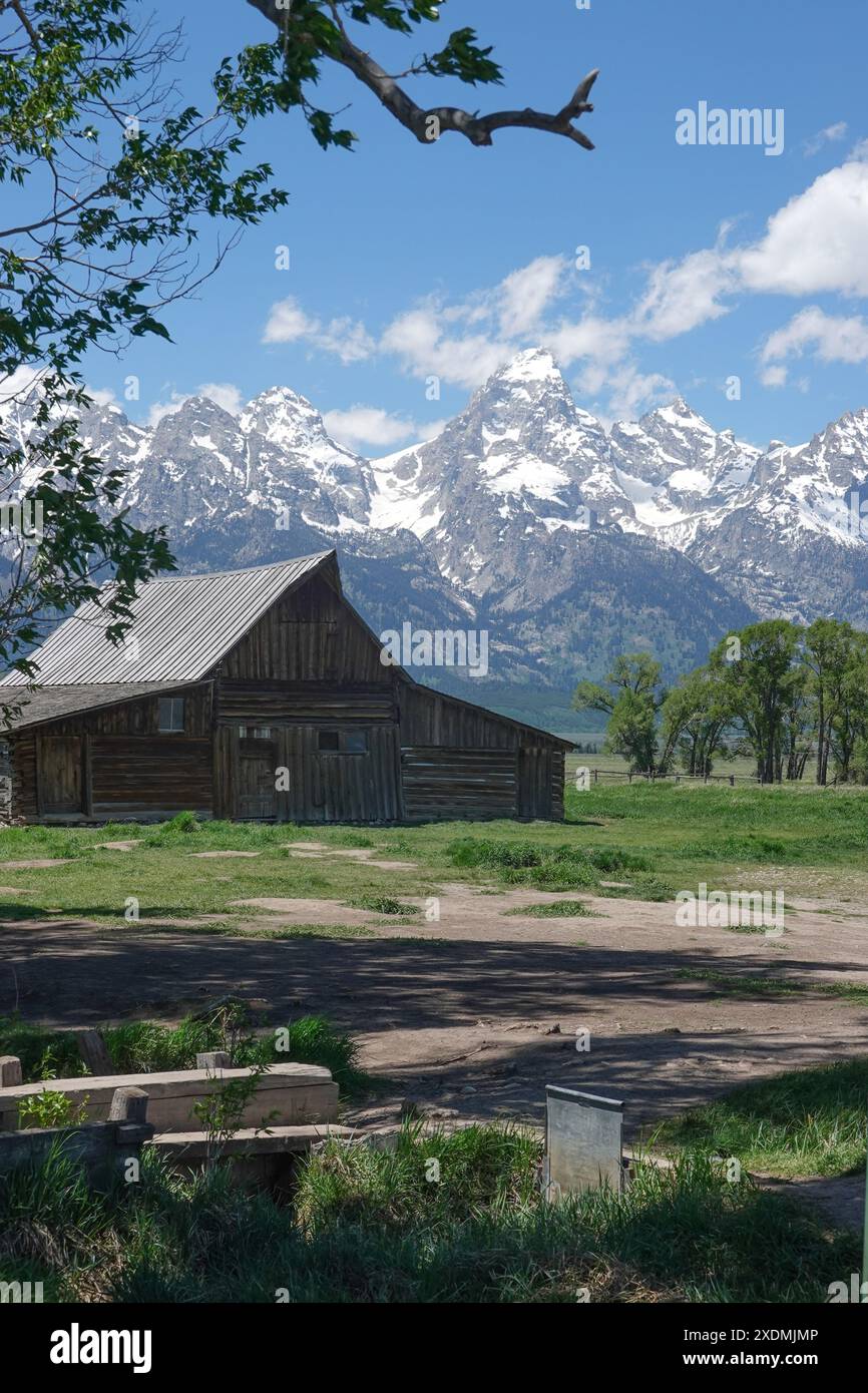 T.A. Moulton Barn nel quartiere storico di Mormon Row nella contea di Teton. Wyoming, Stati Uniti. Con i Grand Tetons sullo sfondo Foto Stock