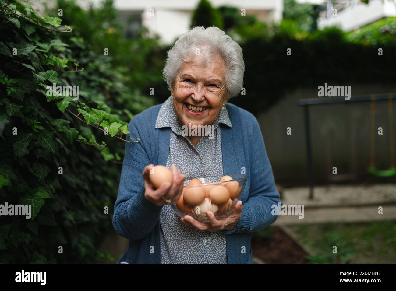 Donna anziana che tiene una ciotola piena di uova fresche di fattoria. Il vecchio contadino felice è deliziato dalla raccolta di uova fatte in casa. Foto Stock