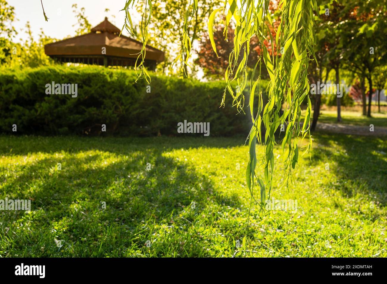 Lush Green Park con gazebo sullo sfondo Foto Stock