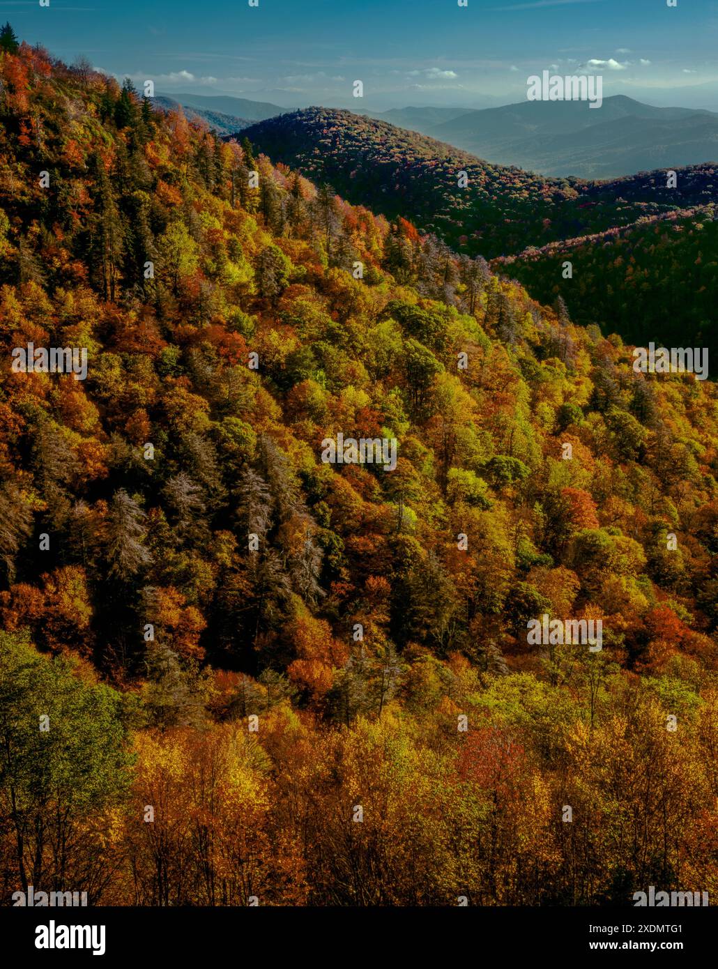 Colore di autunno, Est forcella Piccione si affacciano sul fiume, Blue Ridge Parkway, Pisgah National Forest, Carolina del Nord Foto Stock