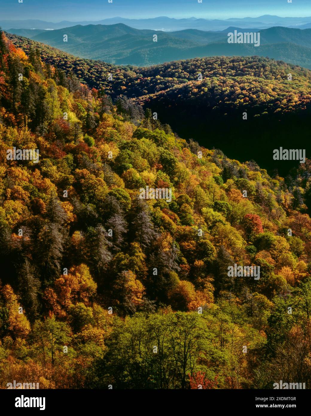 Colore di autunno, Est forcella Piccione si affacciano sul fiume, Blue Ridge Parkway, Pisgah National Forest, Carolina del Nord Foto Stock