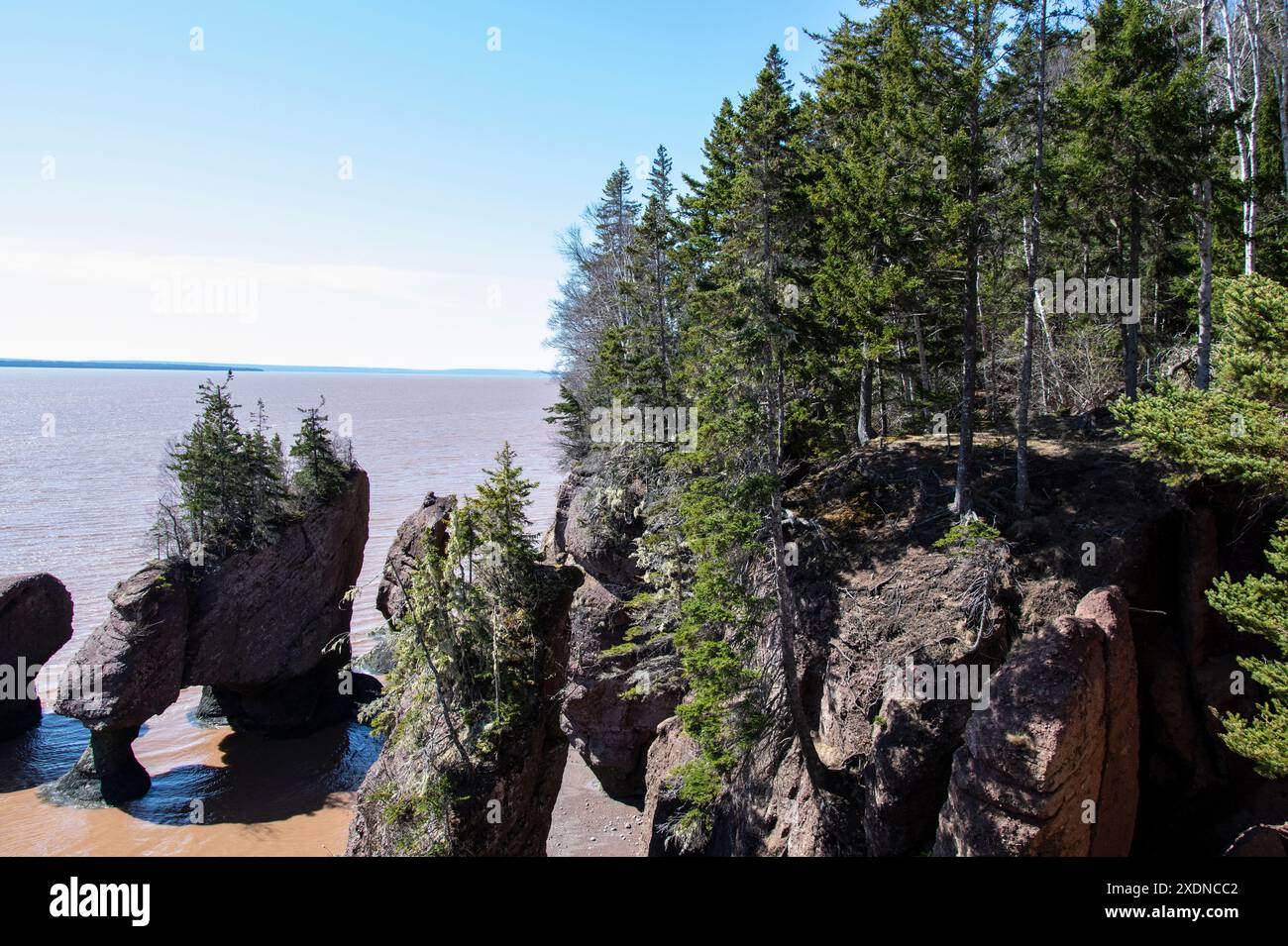 Vasi di fiori di Sea Stacks presso l'Hopewell Rocks Provincial Park di Hopewell Cape, New Brunswick, Canada Foto Stock