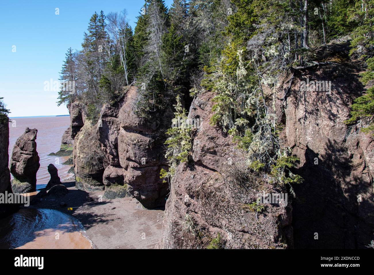 Vasi di fiori di Sea Stacks presso l'Hopewell Rocks Provincial Park di Hopewell Cape, New Brunswick, Canada Foto Stock